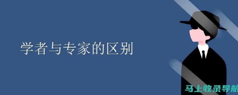 专家解读：行业网站建设的成功要素与推广策略的核心职责